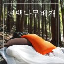 코앤코쿤 이미지