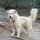 흑곰 Daum카페