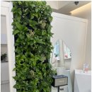 A1171 | 천안 두정동 내성발톱 무좀발톱도 말끔히 오네또 문제성발전문점