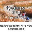 11/16(3주토) 충주 비내섬 악어봉 이미지