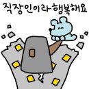 꽃보따리