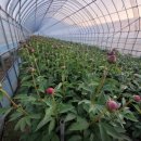 우아농장 이미지