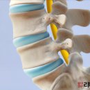 홍대입구리더스정형외과의원 이미지