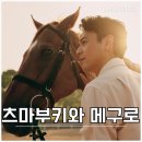 삿뽀르 | 일본 드라마 더 로열 패밀리 후기