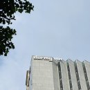 도미인 서울 강남 | 5월의 어느날 도미인 서울강남 호텔 방문기