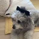 어거스트베이커리 이미지