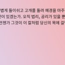 범인삼사 이미지