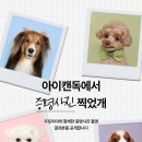 아이캔독 이미지