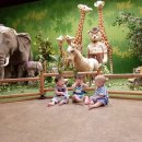 (주)세온 이미지