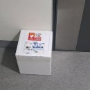 광개토식품 | 배송김치 추천 고흥맛집 김나현대표의 고흥식 열무김치와 총각김치