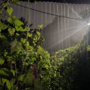 8월31일 월요일 경기방출석부 이미지