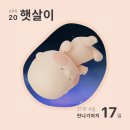 자연일기-2 네이버블로그