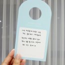 에스테티아세종소담 이미지