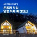 터 애견펜션 이미지