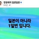 ＜더 낮게, 더 겸손하게, 더 열심히 뛰겠습니다.＞＜투표로 대파하자!＞파란불을 건너면 안전...(2024.03.26) 이미지