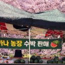 (의령점)현대자동차 | 가나농장 수박 판매 장소 안내