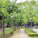 월성공원 이미지