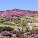 [특별기획산행] 2027년 동원산악회 제주도 영실코스 1박 2일 특별 기획산행 이미지
