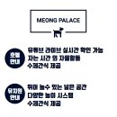 멍팰리스 이미지