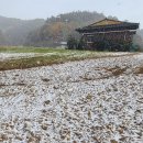 첫눈에평창 이미지