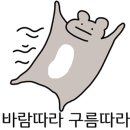아이언렌트카 이미지