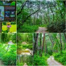 운일암반일암숲길 이미지