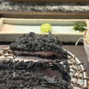 문정역 법조타운 흥도식당 흑카츠돈까스 솔직후기