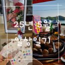 25. 5월 일상 일기