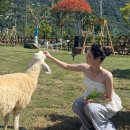 바로일성형외과의원 | 서울 실리프팅 효과 있을까?강남성형외과 솔직 후기