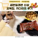 세븐치킨 | 세븐일레븐 신상 과자·초콜릿 후기 | 꼬북칩 후라이드치킨, 카다이프 카라멜 프레첼 솔직 리뷰