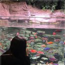 성산고등어쌈밥 이미지