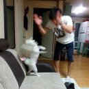 메이드공인중개사사무소 이미지