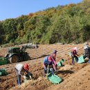 새롬제약 이미지