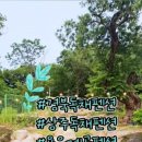 우복동 편백 펜션 이미지