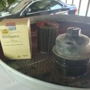 정카센타 이미지