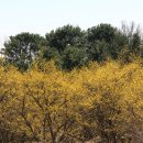 (주)산동개발 이미지