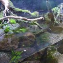 양평곤충박물관 이미지