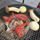 가평 녹수계곡 불멍 펜션 | [공지] [가평펜션] 힐링가득 계곡 바로앞에 있는 &#39;녹수계곡펜션&#39;🍃