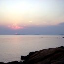 모도 이미지