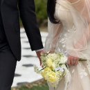 W15. 섬스튜디오 웨딩촬영 필수인 헤어 변형 추천 후기 [엘루스제이]