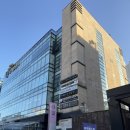 핑크언니PET샵 | 서영언니네일 앤 뷰티 압구정로데오점 핑크시럽네일 후기