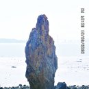 대부해솔길 1코스 이미지