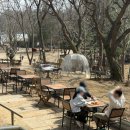 의정부녹양동물약국 | 의정부 대형카페 포어레스트 애견동반 주차