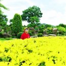 순천만국가정원 이미지