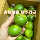 녹색농장 | 새콤달콤한 제주 노지감귤 제철! 과채아빠 농장직송 구매 후기
