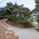 금산사길 이미지