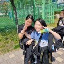 제일합기도 이미지