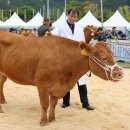 양일농장(한우) 이미지