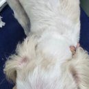 냥이멍이세상 이미지