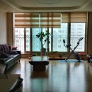 수동 본 쉐르빌 이미지